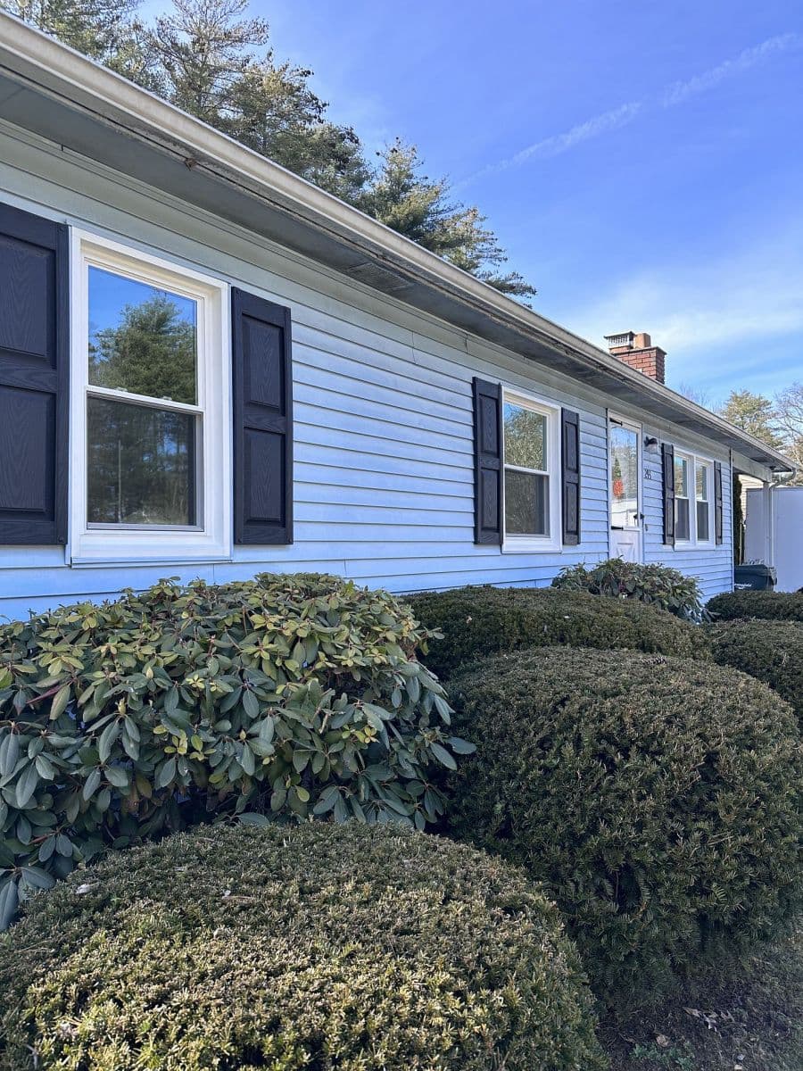 Replacement Windows
