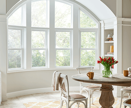 Specialty Shaped Windows