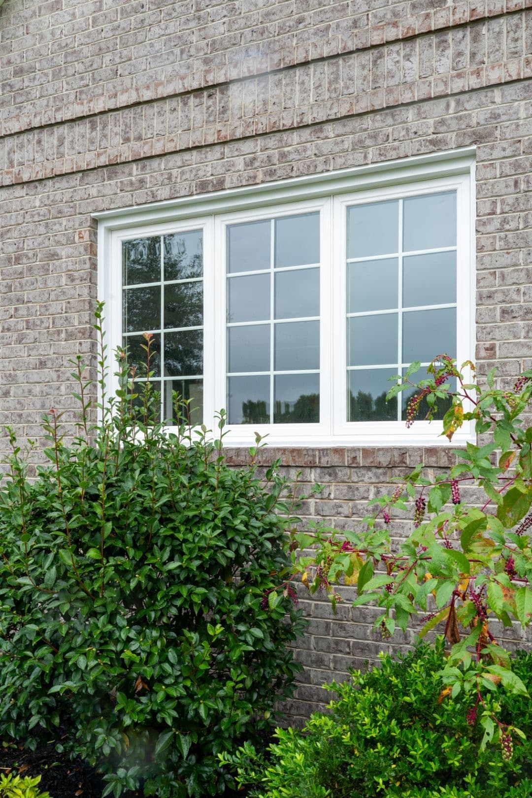Replacement Windows